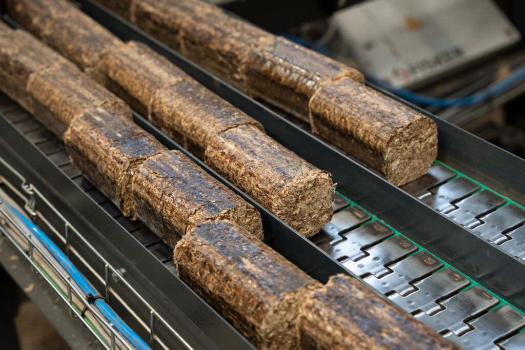 Briquettes on a production line